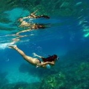 Meet your Posher, Bak